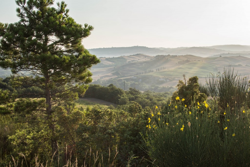 Val d'Orcia, Toscana